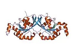 2atx: Crystal Structure of the TC10 GppNHp complex