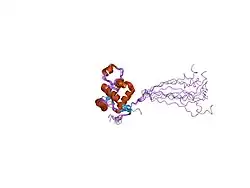 2axl: Solution structure of a multifunctional DNA- and protein-binding domain of human Werner syndrome protein