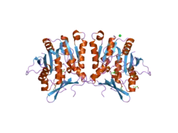 2azt: Crystal structure of H176N mutant of human Glycine N-Methyltransferase