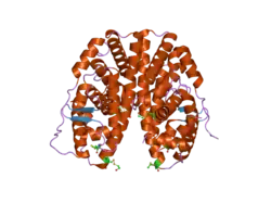2b23: Human estrogen receptor alpha ligand-binding domain and a glucocorticoid receptor-interacting protein 1 NR box II peptide