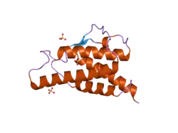 2b90: Crystal structure of the interleukin-4 variant T13DR85A