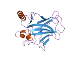2bio: HUMAN P53 CORE DOMAIN MUTANT M133L-V203A-N239Y-R249S-N268D