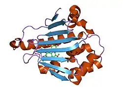 2bsm: NOVEL, POTENT SMALL MOLECULE INHIBITORS OF THE MOLECULAR CHAPERONE HSP90 DISCOVERED THROUGH STRUCTURE-BASED DESIGN