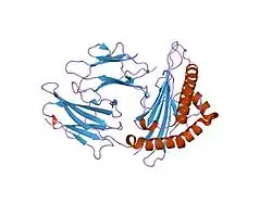 2bst: CRYSTAL STRUCTURES AND KIR3DL1 RECOGNITION OF THREE IMMUNODOMINANT VIRAL PEPTIDES COMPLEXED TO HLA-B2705