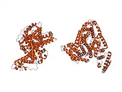 2bxf: HUMAN SERUM ALBUMIN COMPLEXED WITH DIAZEPAM