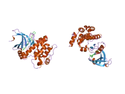 2c6e: AURORA A KINASE ACTIVATED MUTANT (T287D) IN COMPLEX WITH A 5-AMINOPYRIMIDINYL QUINAZOLINE INHIBITOR