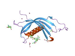 2ch9: CRYSTAL STRUCTURE OF DIMERIC HUMAN CYSTATIN F
