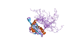 2d8b: Solution structure of the second tandem cofilin-domain of mouse twinfilin
