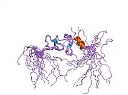 2d8y: Solution structure of the LIM domain of Epithelial protein lost in neoplasm