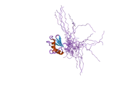 2dhx: Solution Structure of the RRM Domain in the Human Poly (ADP-ribose) Polymerase Family, Member 10 Variant