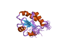 2diz: The solution structure of the third thioredoxin domain of human Thioredoxin domain-containing protein 5