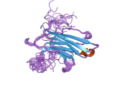 2dmg: Solution structure of the third C2 domain of KIAA1228 protein
