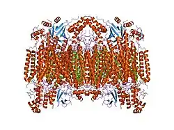 2dyr: Bovine heart cytochrome C oxidase at the fully oxidized state