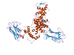 2e32: Structural basis for selection of glycosylated substrate by SCFFbs1 ubiquitin ligase