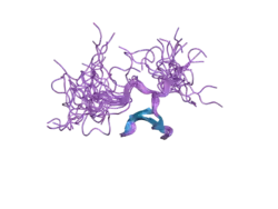 2e45: Solution structure of Fe65 WW domain