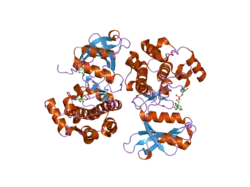 2f57: Crystal Structure Of The Human P21-Activated Kinase 5