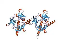 2f5k: Crystal structure of the chromo domain of human MRG15