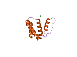 2fj9: High resolution crystal structure of the unliganded human ACBP