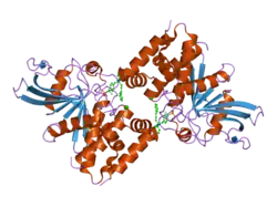2fjm: The structure of phosphotyrosine phosphatase 1B in complex with compound 2
