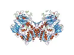 2fjp: Human dipeptidyl peptidase IV/CD26 in complex with an inhibitor