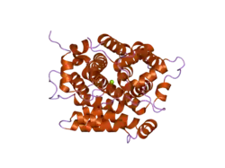 2foz: human ADP-ribosylhydrolase 3