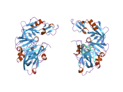 2fs4: Ketopiperazine-Based Renin Inhibitors: Optimization of the C ring