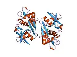 2fud: Human Cathepsin S with Inhibitor CRA-27566