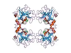 2fxr: human beta tryptase II complexed with activated ketone inhibitor CRA-29382