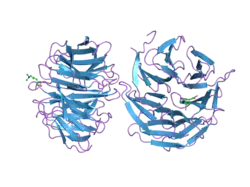 2g99: Structural basis for the specific recognition of methylated histone H3 lysine 4 by the WD-40 protein WDR5