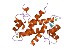 2h2k: Crystal Structure Analysis of Human S100A13