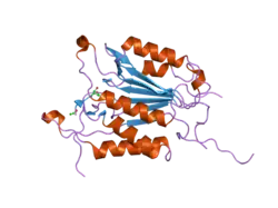 2h5i: Crystal structure of caspase-3 with inhibitor Ac-DEVD-Cho