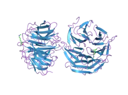 2h6k: Histone H3 recognition and presentation by the WDR5 module of the MLL1 complex