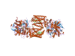 2h88: Avian Mitochondrial Respiratory Complex II at 1.8 Angstrom Resolution