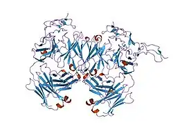 2h9g: Crystal structure of phage derived Fab BdF1 with human Death Receptor 5 (DR5)