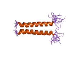 2hac: Structure of Zeta-Zeta Transmembrane Dimer