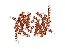 2hd1: Crystal structure of PDE9 in complex with IBMX