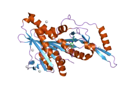 2heh: Crystal Structure of the KIF2C motor domain (CASP Target)