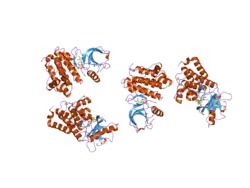 2hen: Crystal Structure of the EphB2 Receptor Kinase domain in complex with ADP