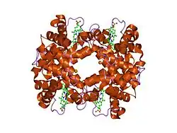 2hhb: THE CRYSTAL STRUCTURE OF HUMAN DEOXYHAEMOGLOBIN AT 1.74 ANGSTROMS RESOLUTION