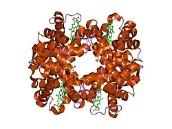 2hhd: OXYGEN AFFINITY MODULATION BY THE N-TERMINI OF THE BETA-CHAINS IN HUMAN AND BOVINE HEMOGLOBIN