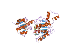 2hu2: CTBP/BARS in ternary complex with NAD(H) and RRTGAPPAL peptide
