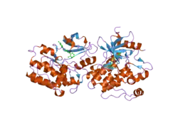 2hzi: Abl kinase domain in complex with PD180970