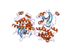 2i0e: Structure of catalytic domain of human protein kinase C beta II complexed with a bisindolylmaleimide inhibitor