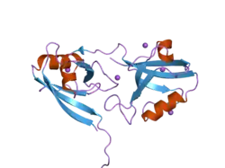 2i1n: Crystal structure of the 1st PDZ domain of Human DLG3