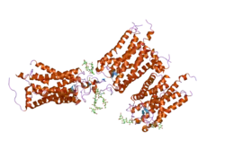 2i37: Crystal structure of a photoactivated rhodopsin