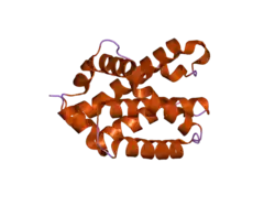 2imt: The X-ray Structure of a Bak Homodimer Reveals an Inhibitory Zinc Binding Site