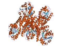 2izz: CRYSTAL STRUCTURE OF HUMAN PYRROLINE-5-CARBOXYLATE REDUCTASE
