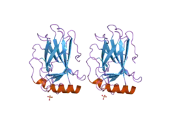 2j20: HUMAN P53 CORE DOMAIN MUTANT M133L-V203A-N239Y-N268D-R273C