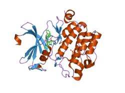 2j2i: CRYSTAL STRUCTURE OF THE HUMAB PIM1 IN COMPLEX WITH LY333531