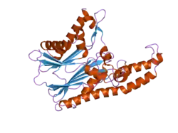 2j4o: STRUCTURE OF TAB1